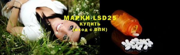 крисы Армянск