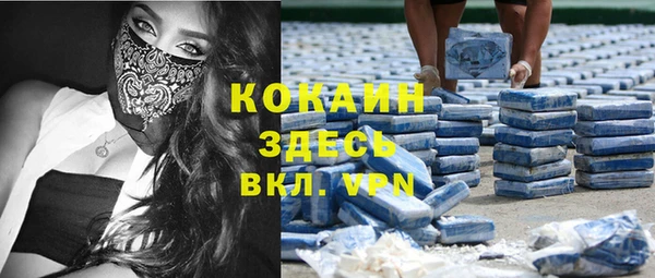 крисы Армянск