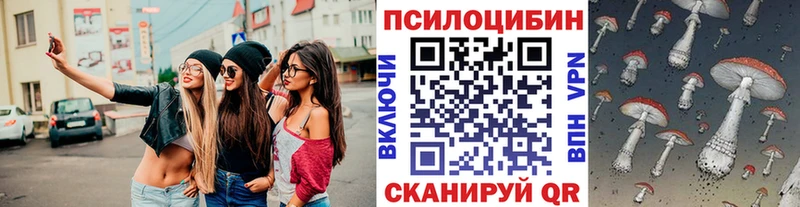 hydra онион  Сурск  Псилоцибиновые грибы прущие грибы 